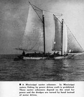 Mississippi oyster schooner