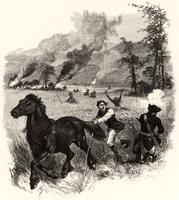 Horse running away from Indian attack]
