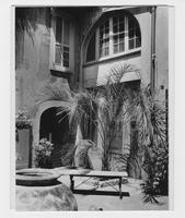 Courtyard of the Curving Palms, Number Two