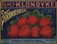 Fancy Klondyke Strawberries