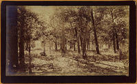 View No. 18. Chickamauga. Adams' Louisiana Brigade.