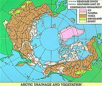 Arctic drainage and vegetation