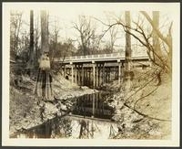 Bridges over bayou