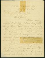 Letter from Francis Palms to Henrietta Lauzin, 1865 Dec. 05