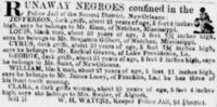 Runaway Negroes confined in the Police Jail of the Second District, New Orleans.