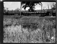 Pond near railroad