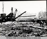 Railroad Cars Loaded with Lumber