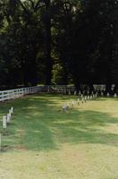 Angola State Penitentiary Cemetery, West Feliciana Parish in 2000.