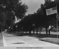 Avenue of flags leading to Administration building at Barksdale Air Force Base in Shreveport Louisiana