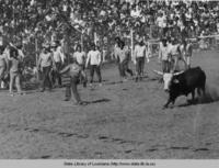 Rodeo at the Louisiana State Penitentiary in Angola Louisiana in 1970s