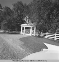 Gate at Rosedown plantation under renovation in 1961