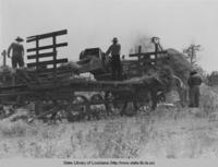 Harvesting rice in Crowley Louisiana circa 1940