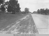 Roadside improvements to Columbia-Grayson Highway in Caldwell Parish Louisiana in 1941