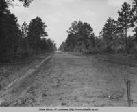 Unpaved road in Allen Parish Louisiana in the 1930s
