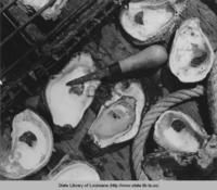 Oysters on the half-shell circa 1940