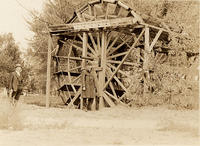 Water wheel in irrigated country