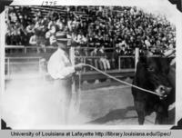 Cattle Show at Southwestern